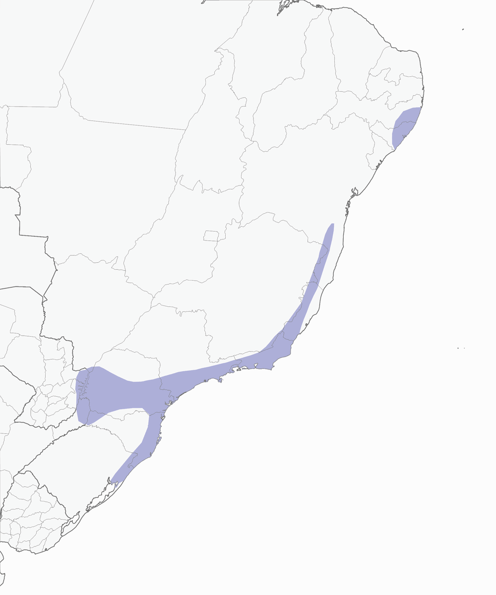 Red-necked Tanager, Distribution 1