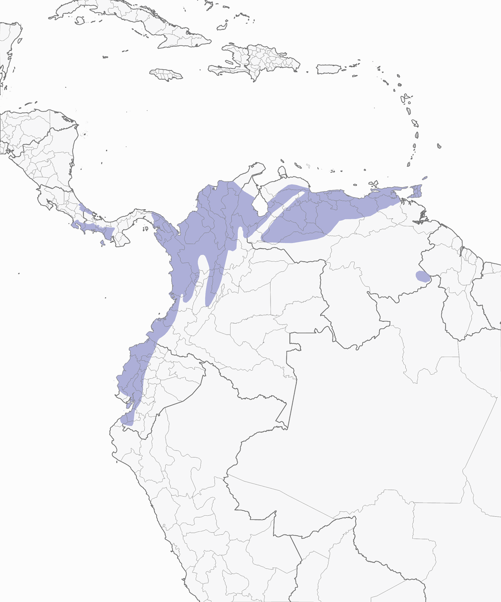 Red-rumped Woodpecker, Distribution 1