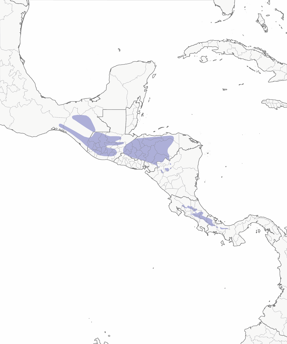 Quetzal resplendissant, Distribution 1