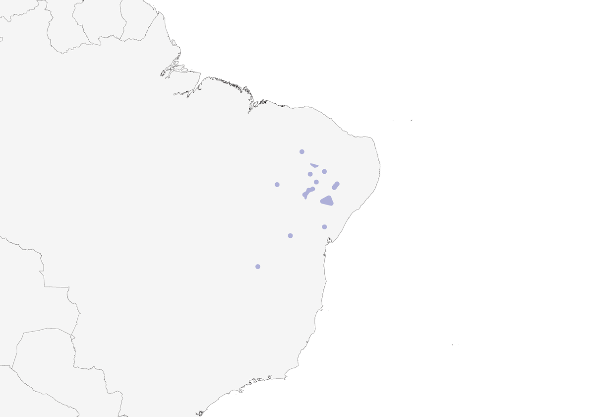 Red-shouldered Spinetail, Distribution 1