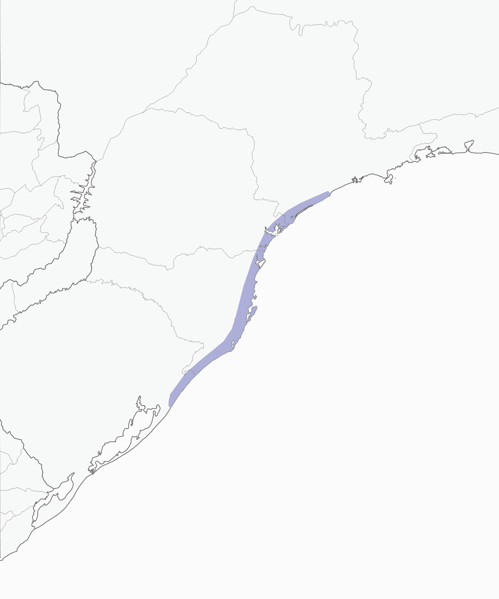 Tiranoide de Restinga, Distribución 1