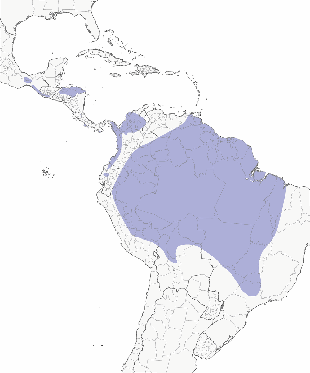Caracara golarossa, Distribuzione 1