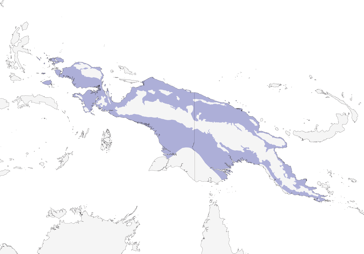 Mizomela dalla gola rubino, Distribuzione 1