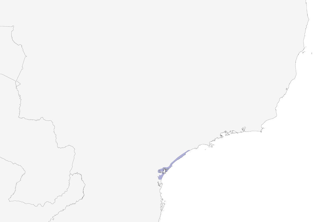 Amazona Colirroja, Distribución 1