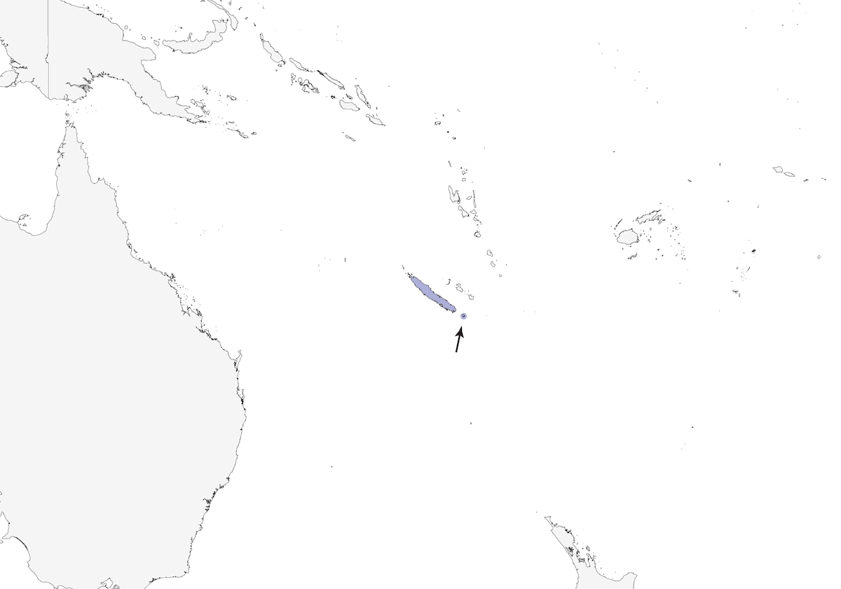 Diamant psittacule, Distribution 1