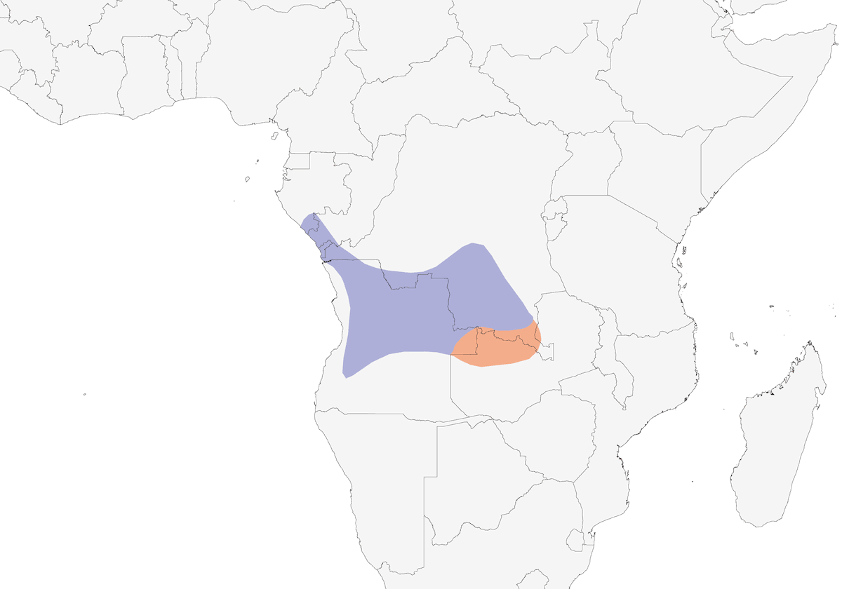 Red-throated Swallow, Distribution 1