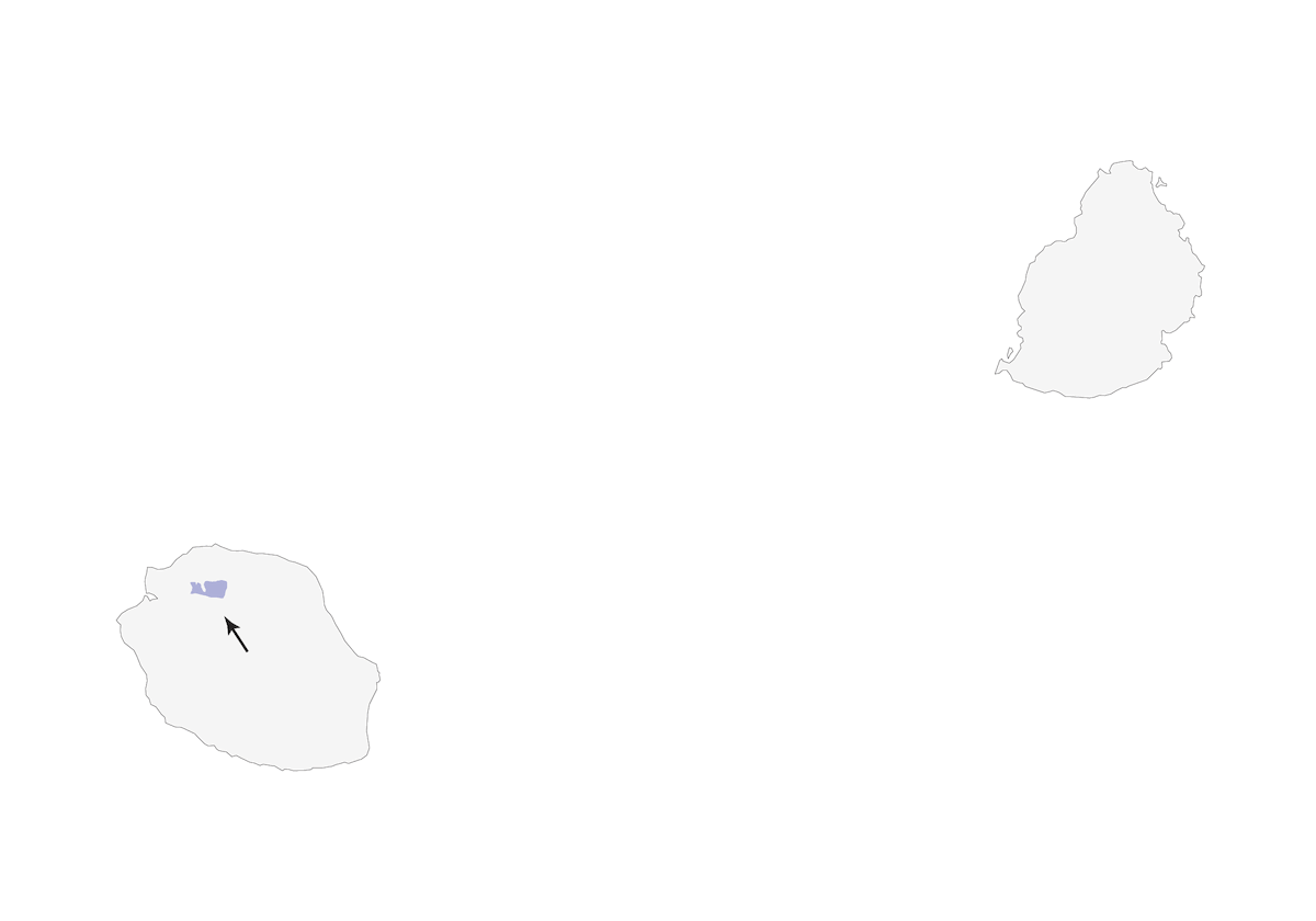 Oruguero de Reunión, Distribución 1