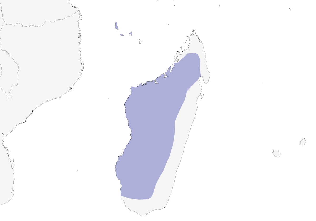 Busard de Madagascar, Distribution 1