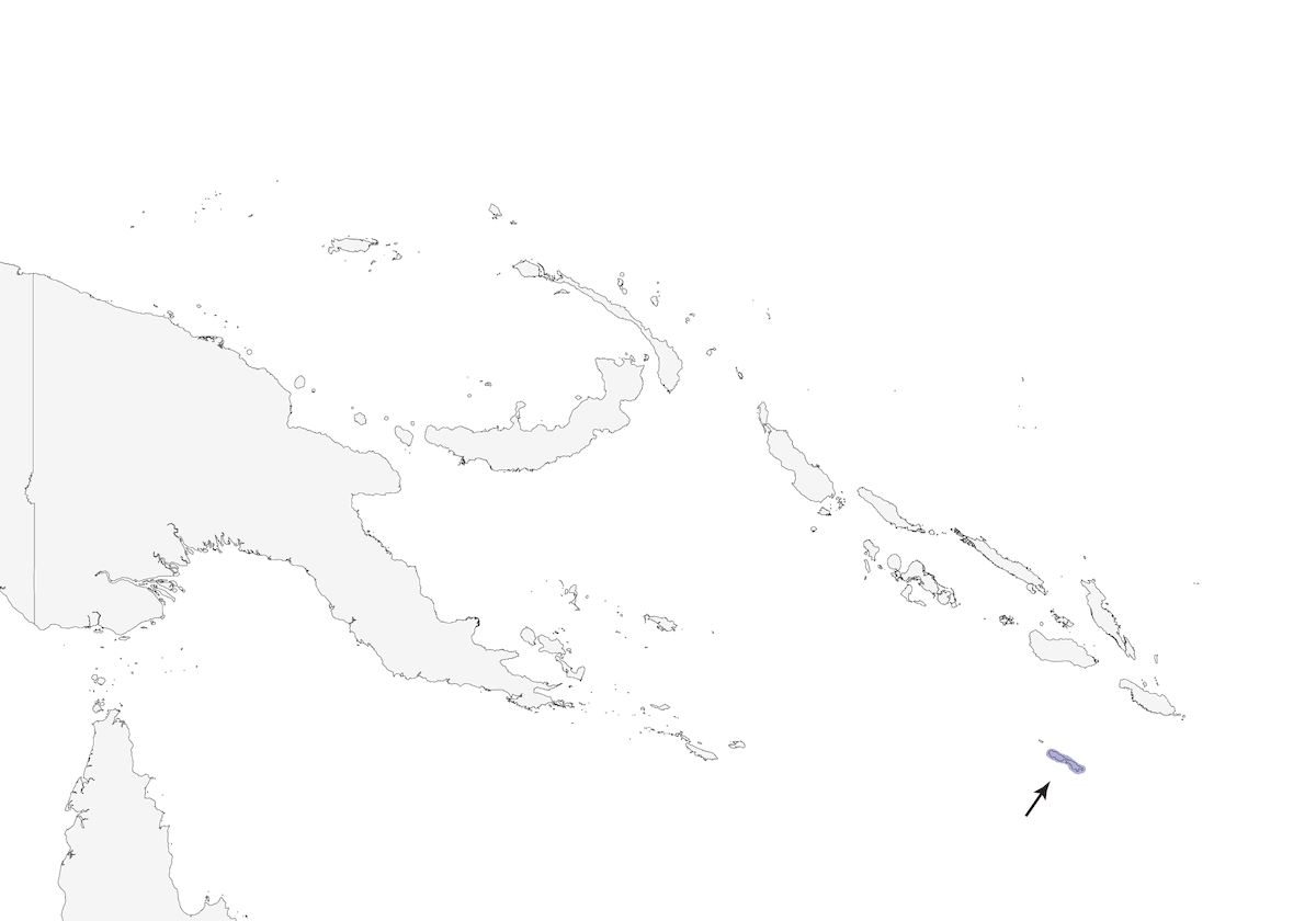 Occhialino di Rennell, Distribuzione 1