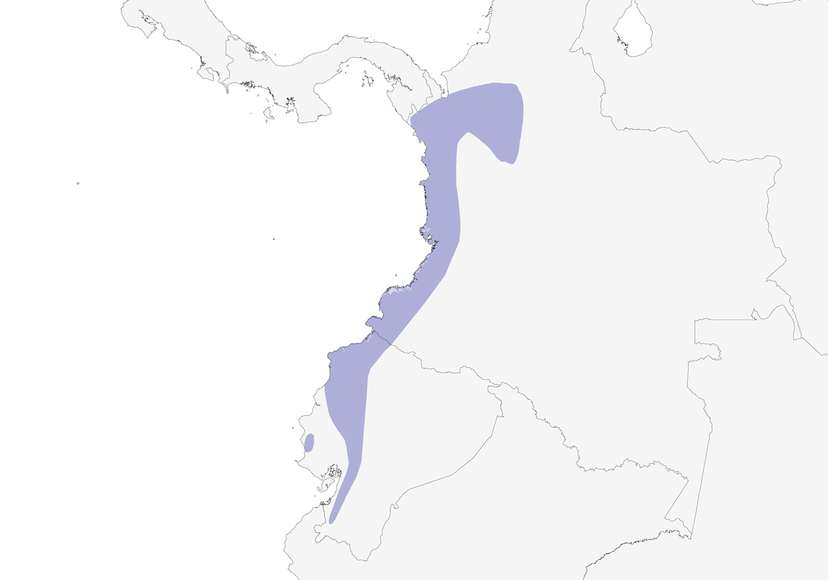 Codorniz montañesa frentirrufa, Distribución 1