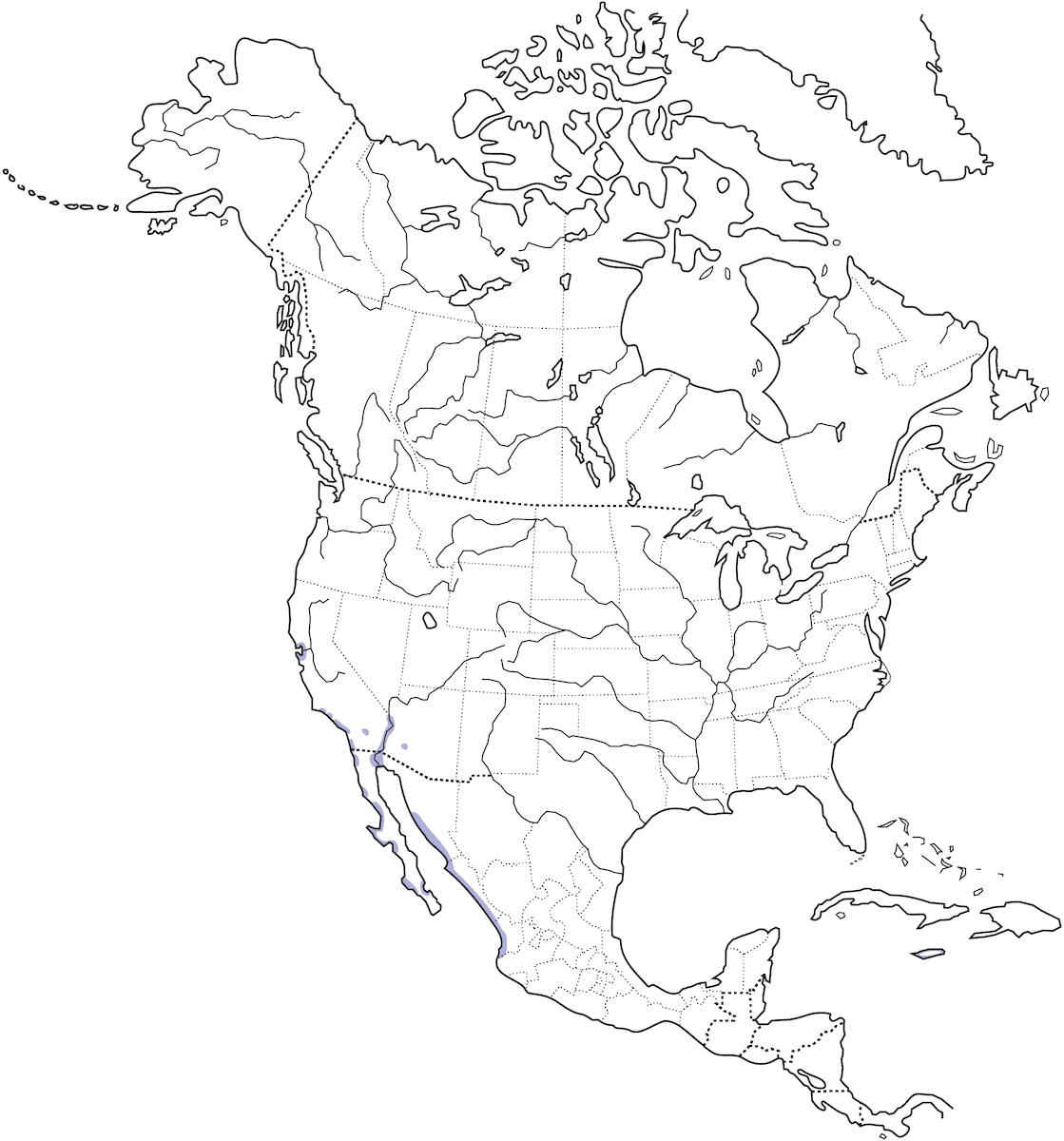 Rascón de Ridgway, Distribución 1