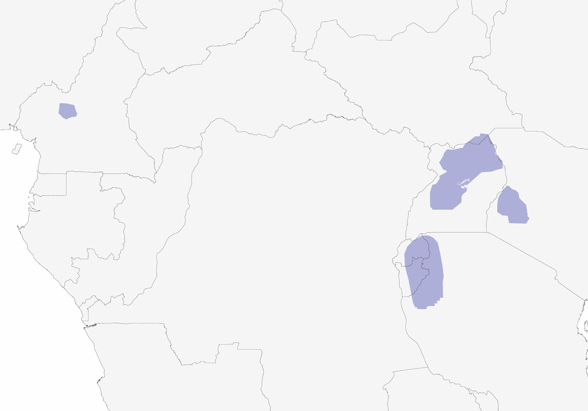 Ring-necked Francolin, Distribution 1