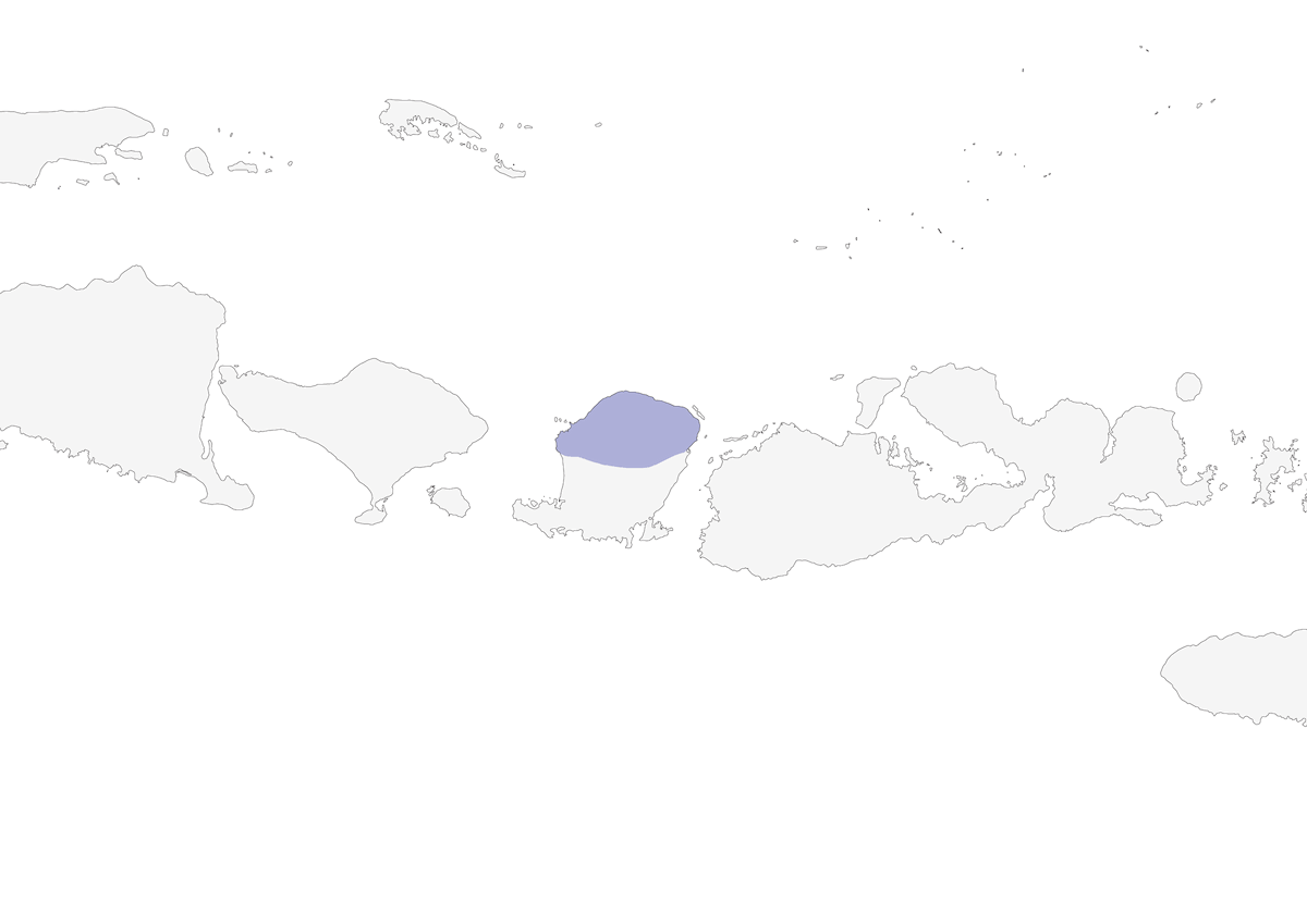 Rinjani Scops-Owl, Distribution 1