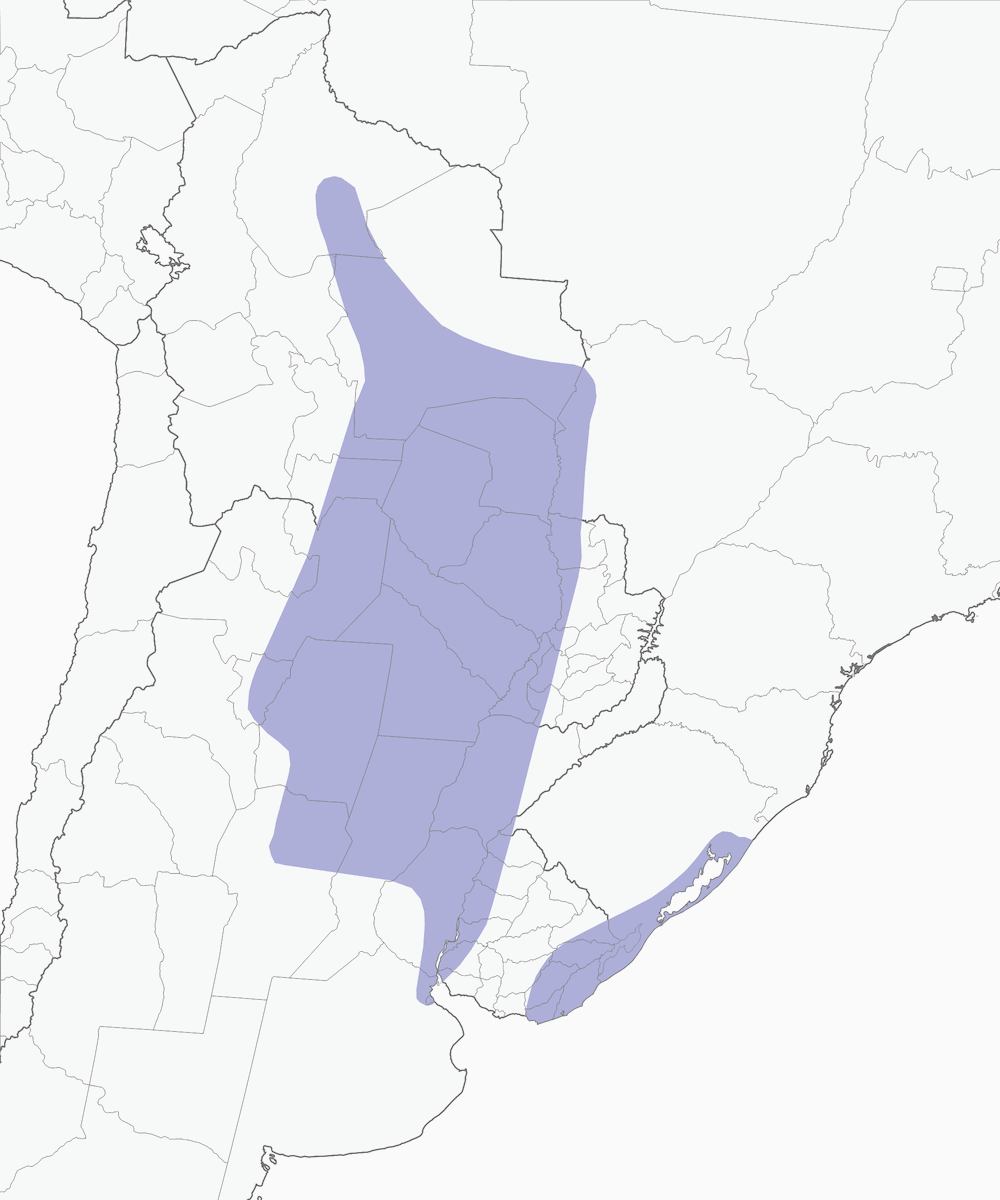 Anatra dal collare, Distribuzione 1
