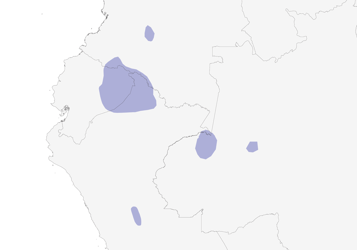 Hormiguerito de Río Suno, Distribución 1