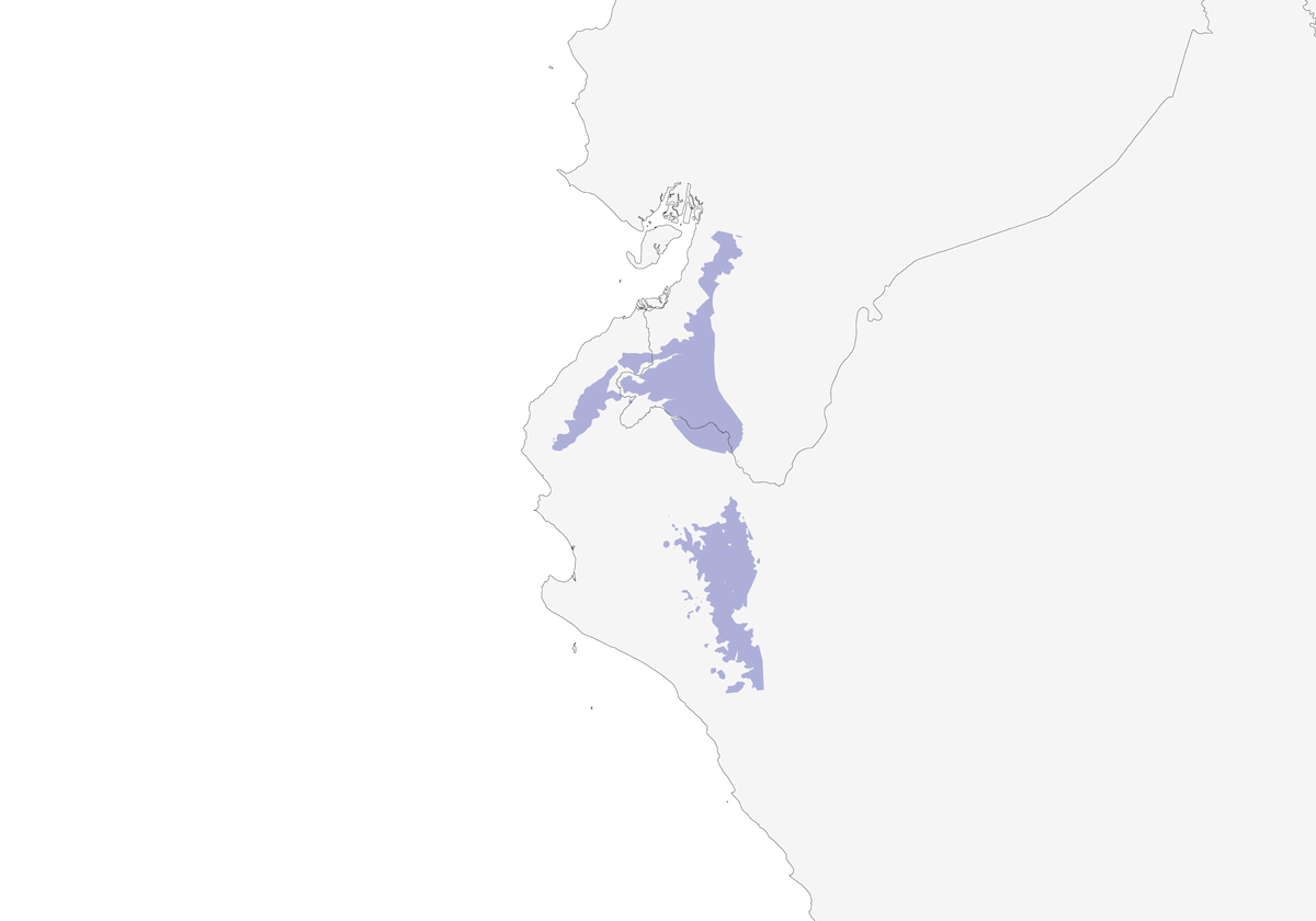 Spigolatore collorossiccio, Distribuzione 1