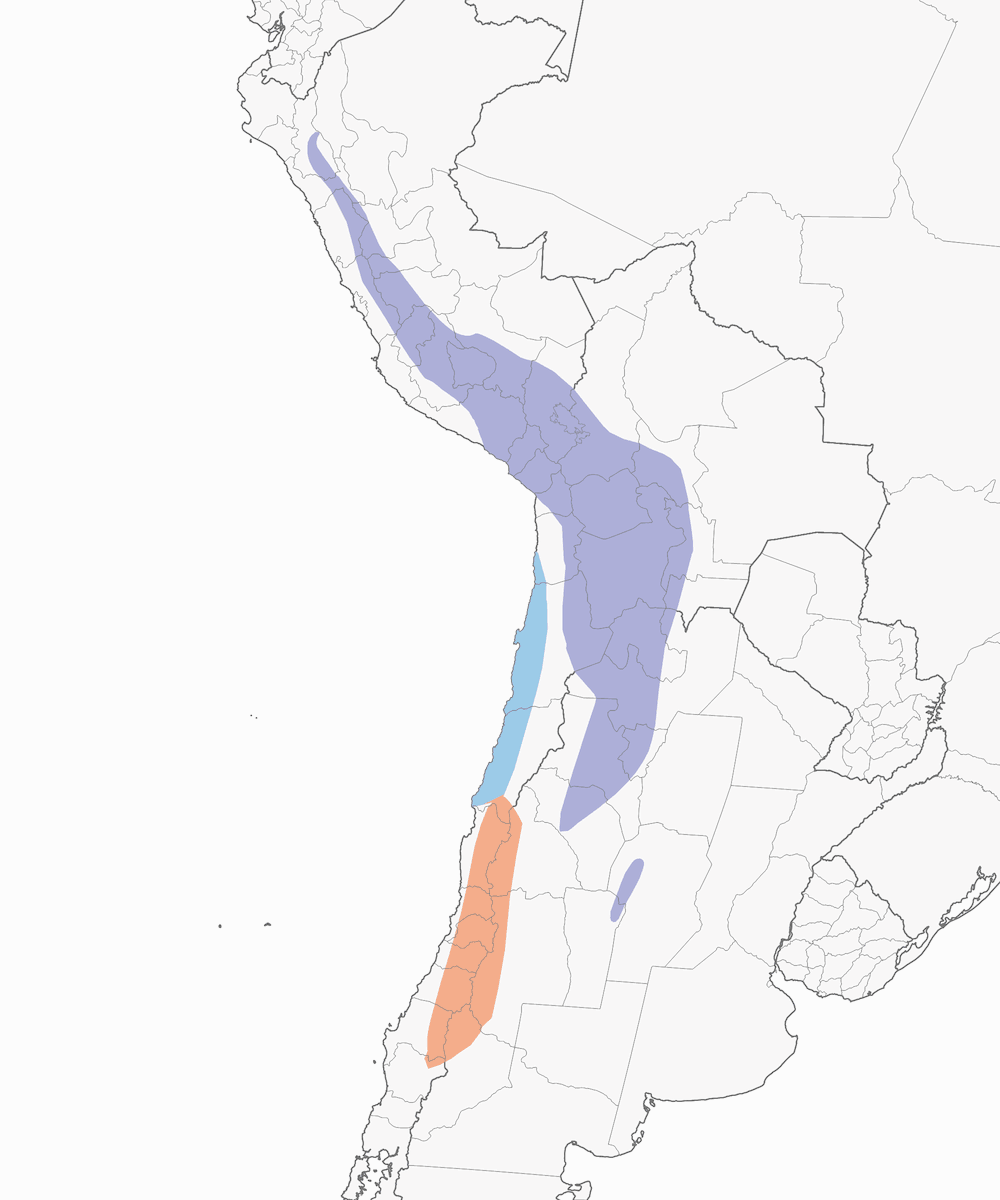 Rufous-naped Ground-Tyrant, Distribution 1