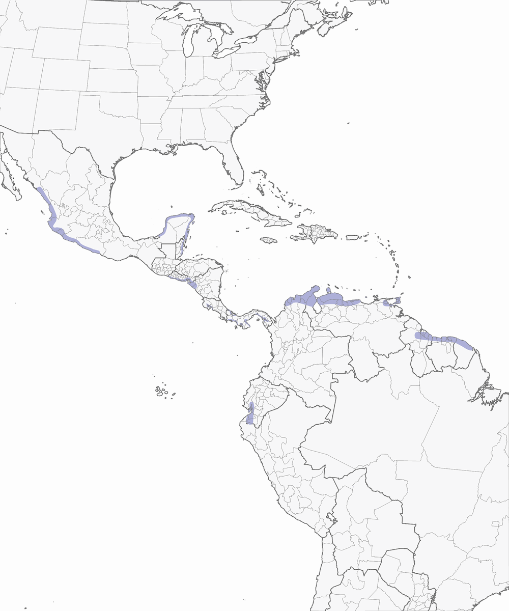 Rufous-necked Wood-Rail, Distribution 1