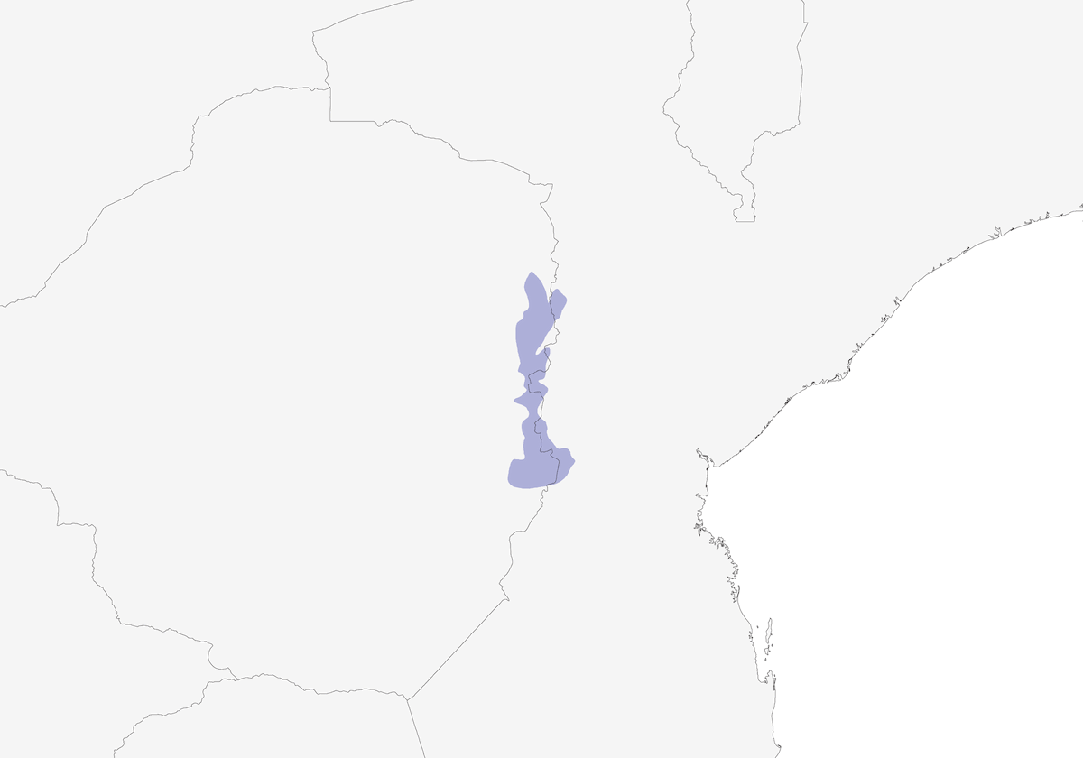 Silvicola di Roberts, Distribuzione 1