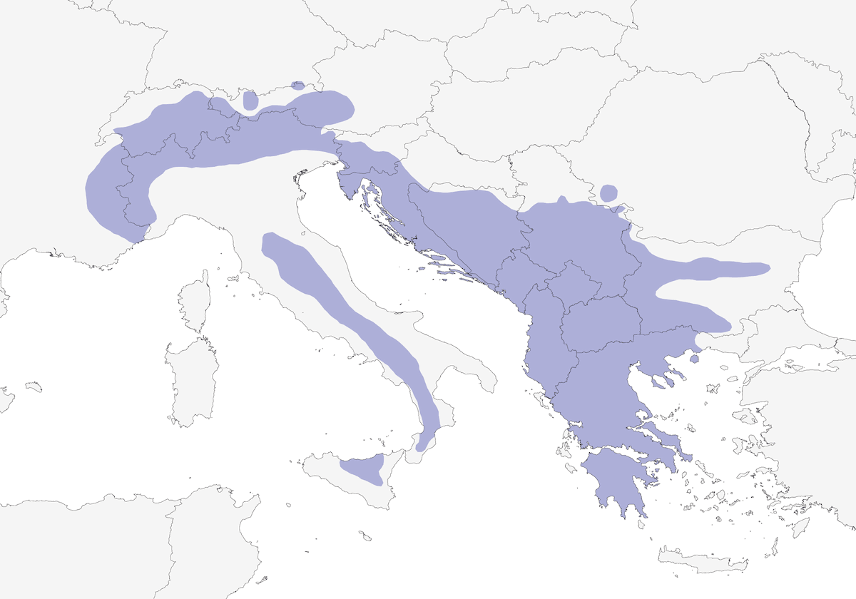 Coturnice, Distribuzione 1
