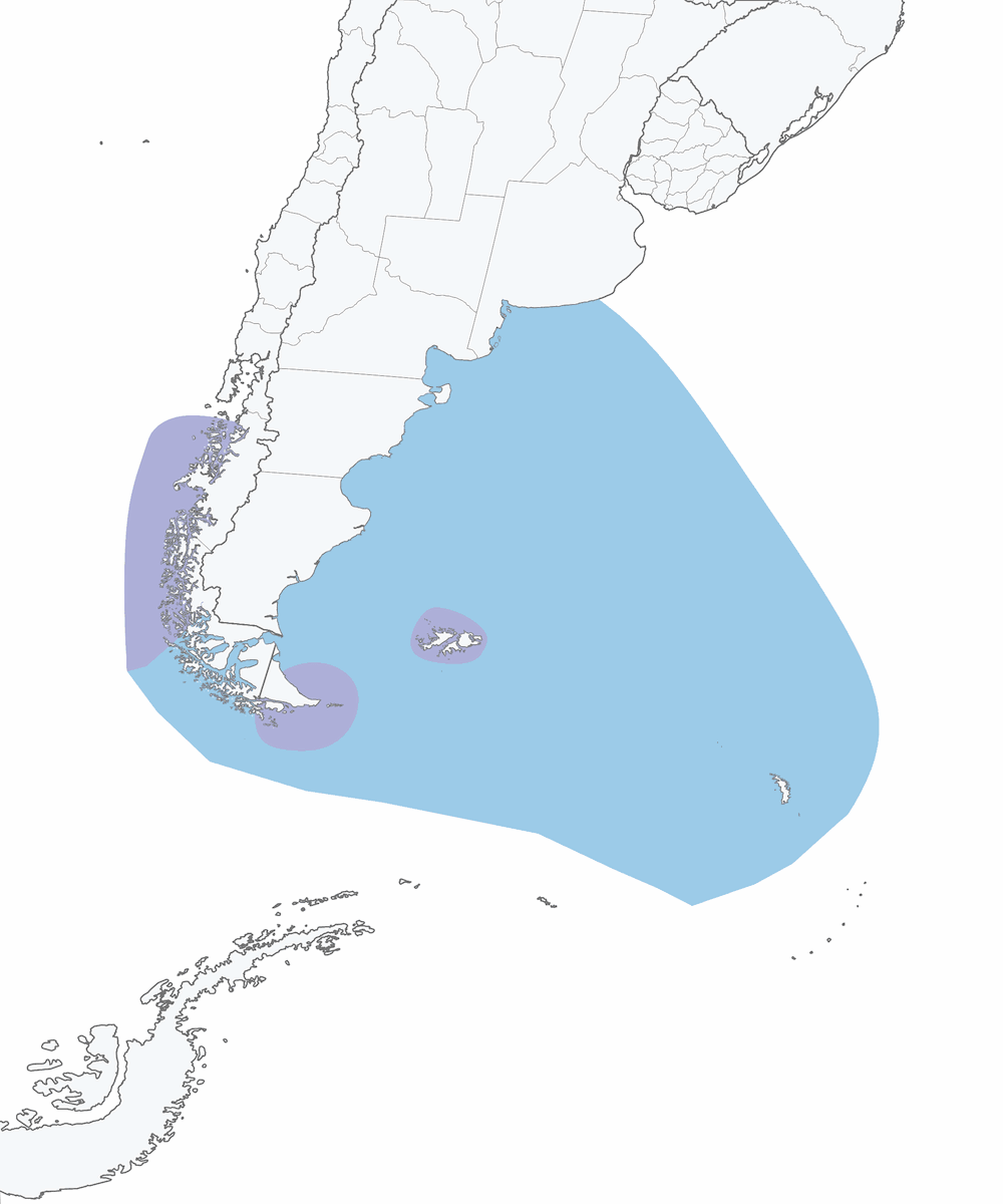 Pingüino Saltarrocas Austral, Distribución 1
