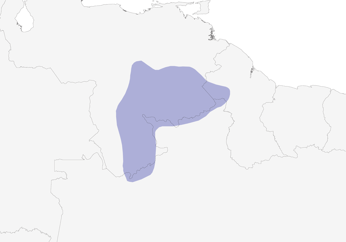 Roraima-Ameisenschlüpfer, Verbreitung 1