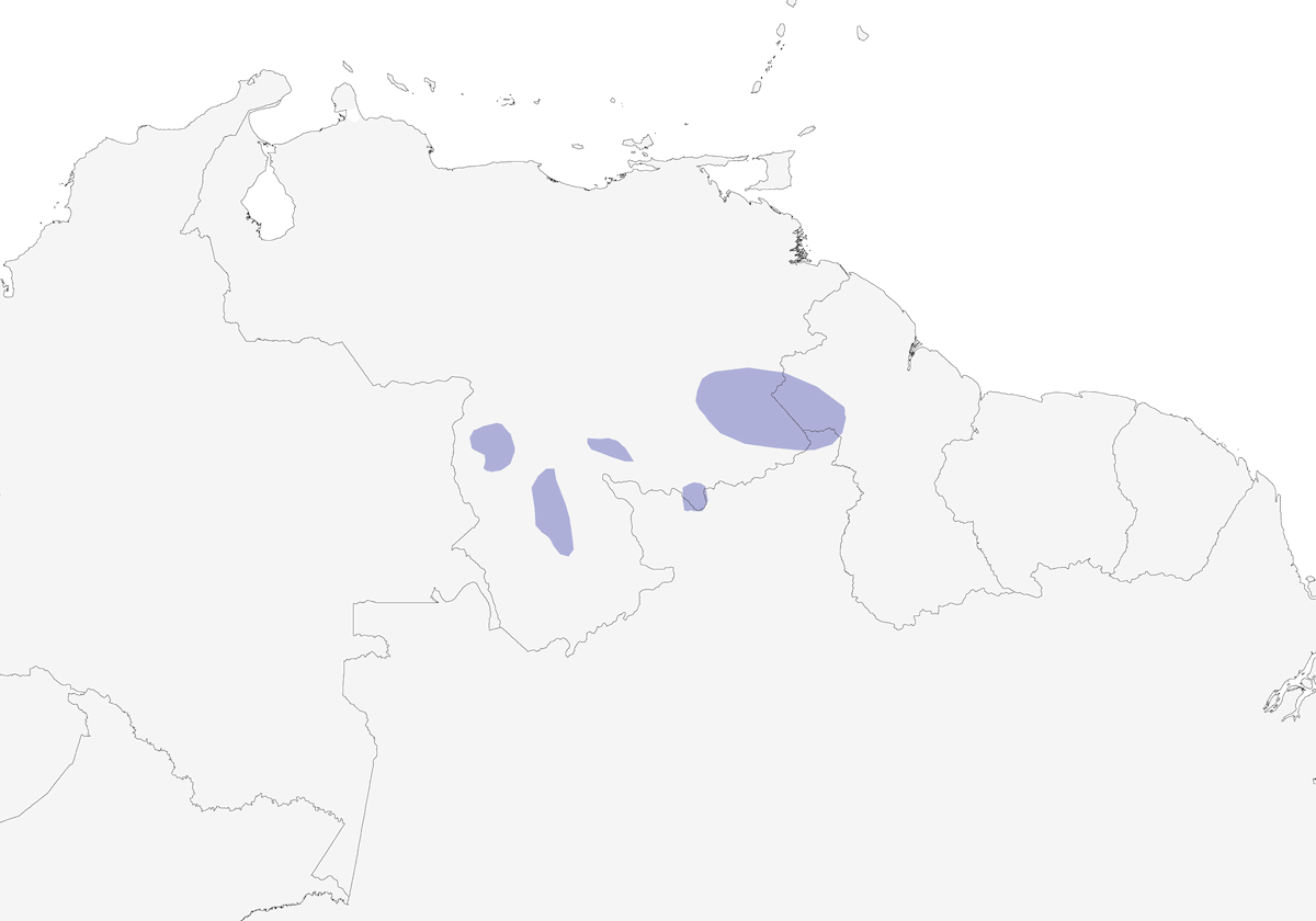 Roraima-Stachelschwanz, Verbreitung 1