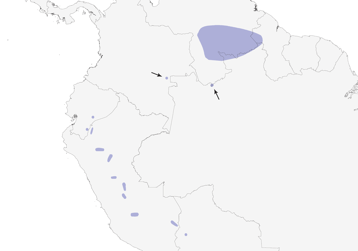 Roraima-Tyrann, Verbreitung 1