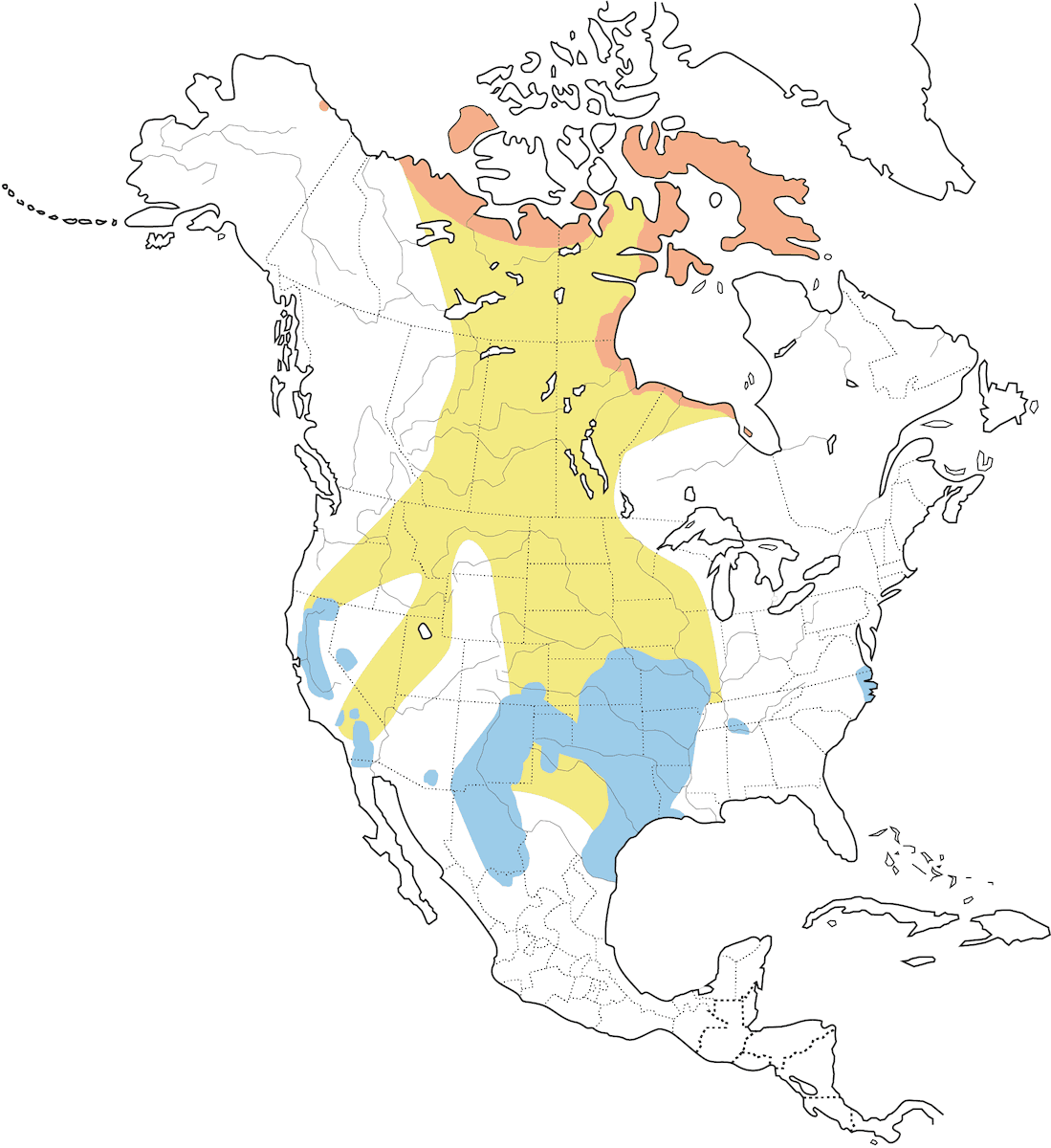 Ross's Goose, Distribution 1