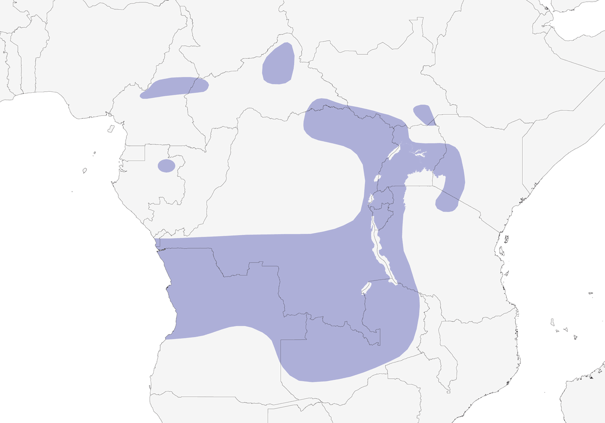 Turaco de Ross, Distribución 1