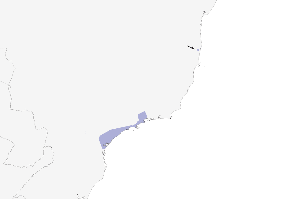 Brasilianischer Königstyrann, Verbreitung 1