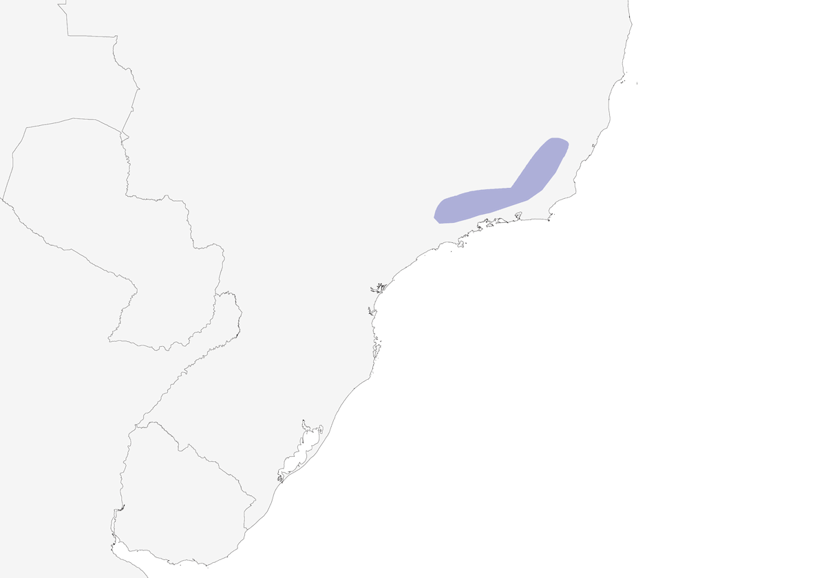 Pepitero de Garganta Anteada, Distribución 1