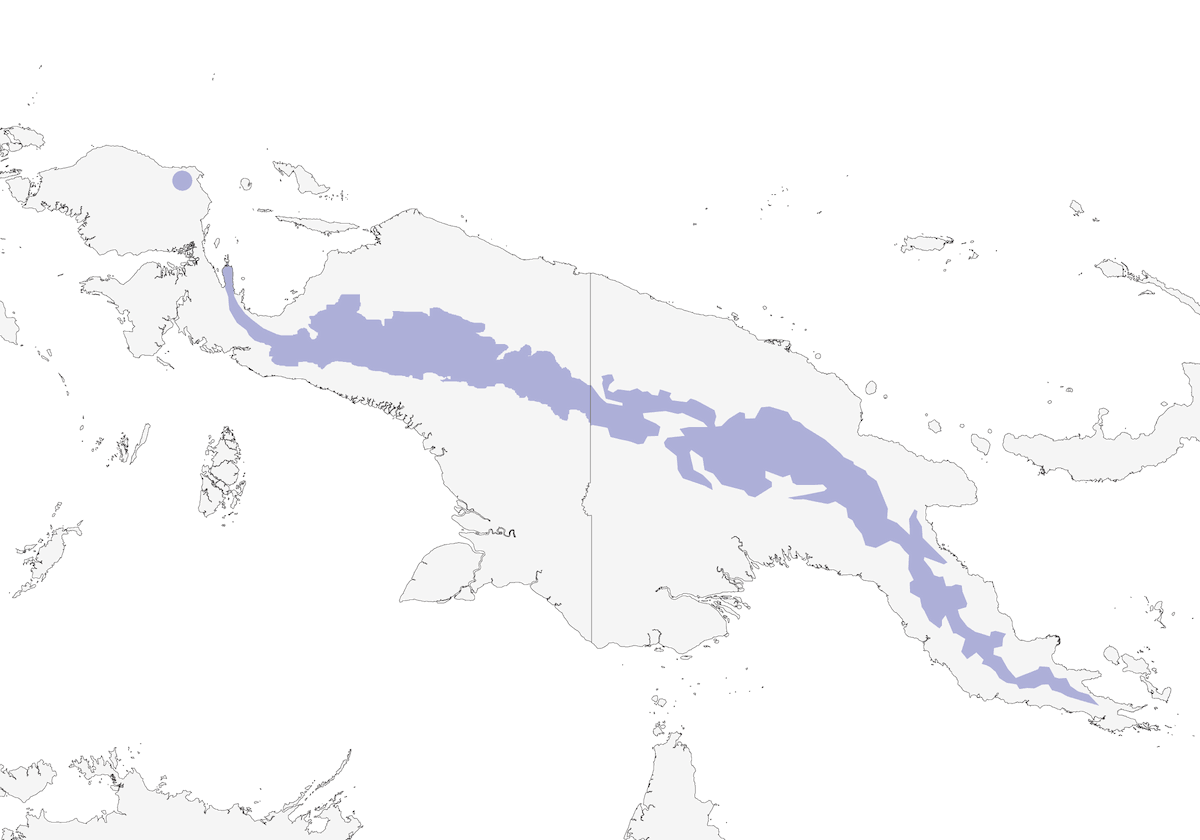 Rufous-throated Bronze-Cuckoo, Distribution 1