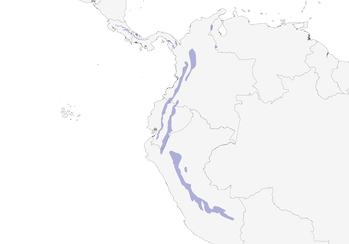 Rufous-breasted Antthrush, Distribution 1
