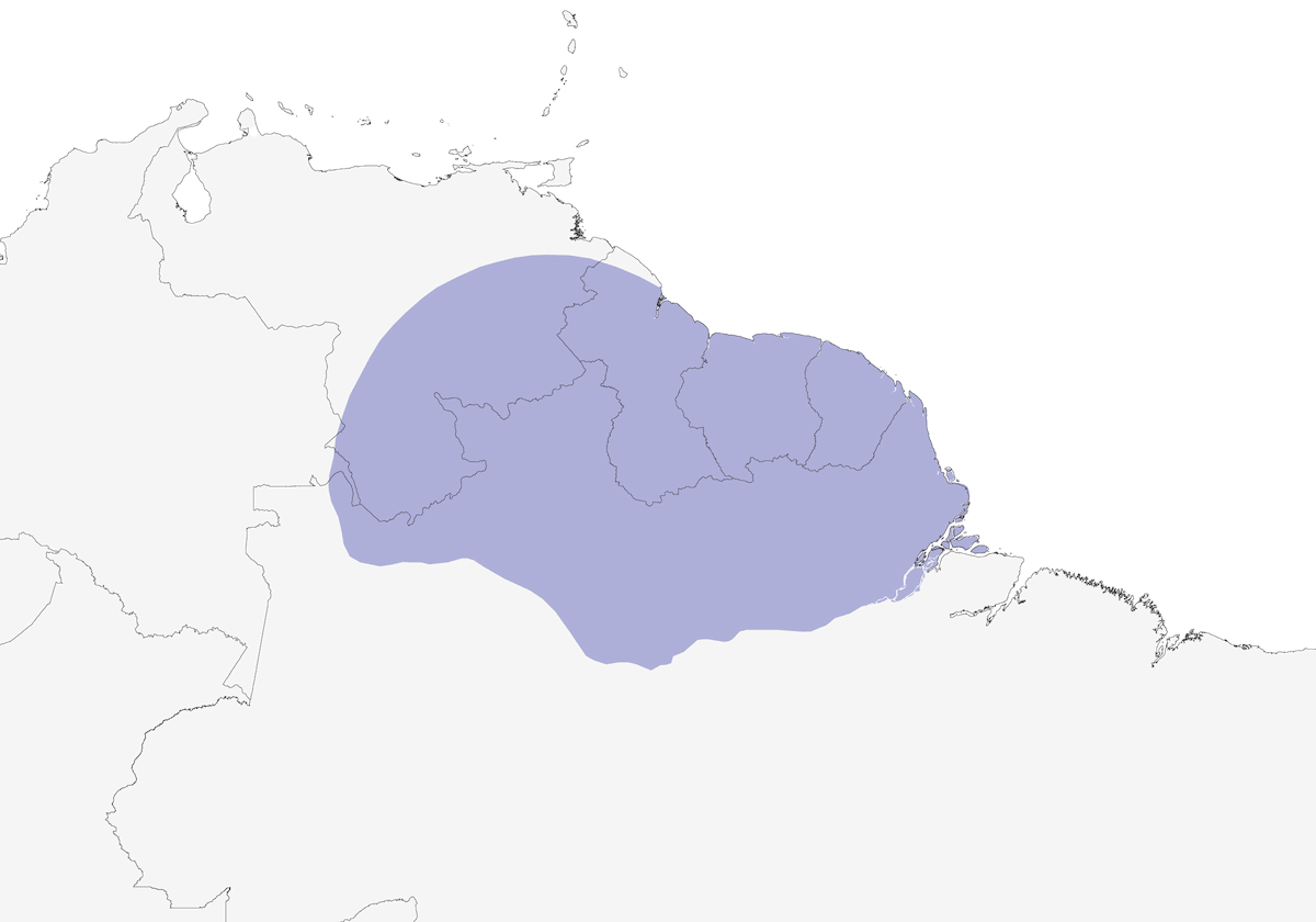 Rufous-bellied Antwren, Distribution 1