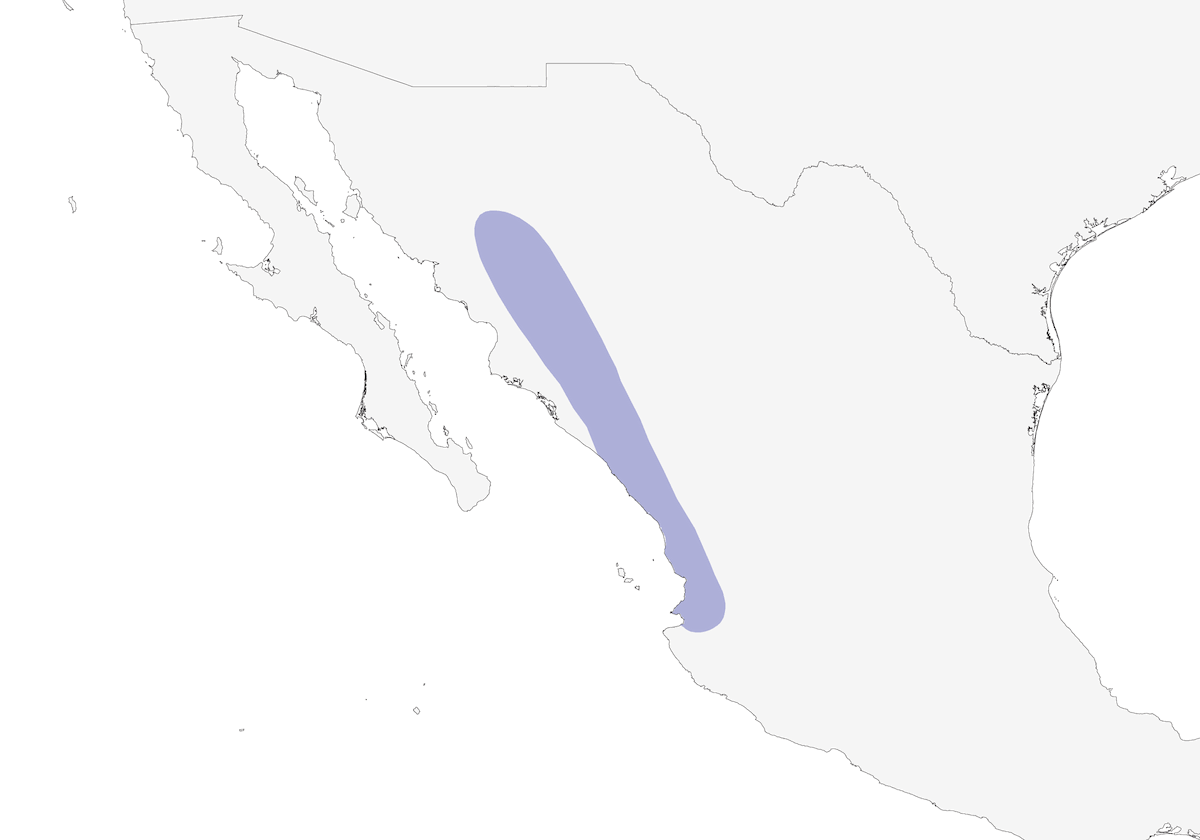 Chachalaca ventrirrufa, Distribución 1