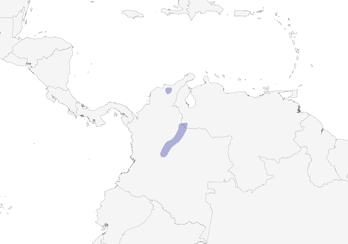 Conibecco sopracciglia rosse, Distribuzione 1