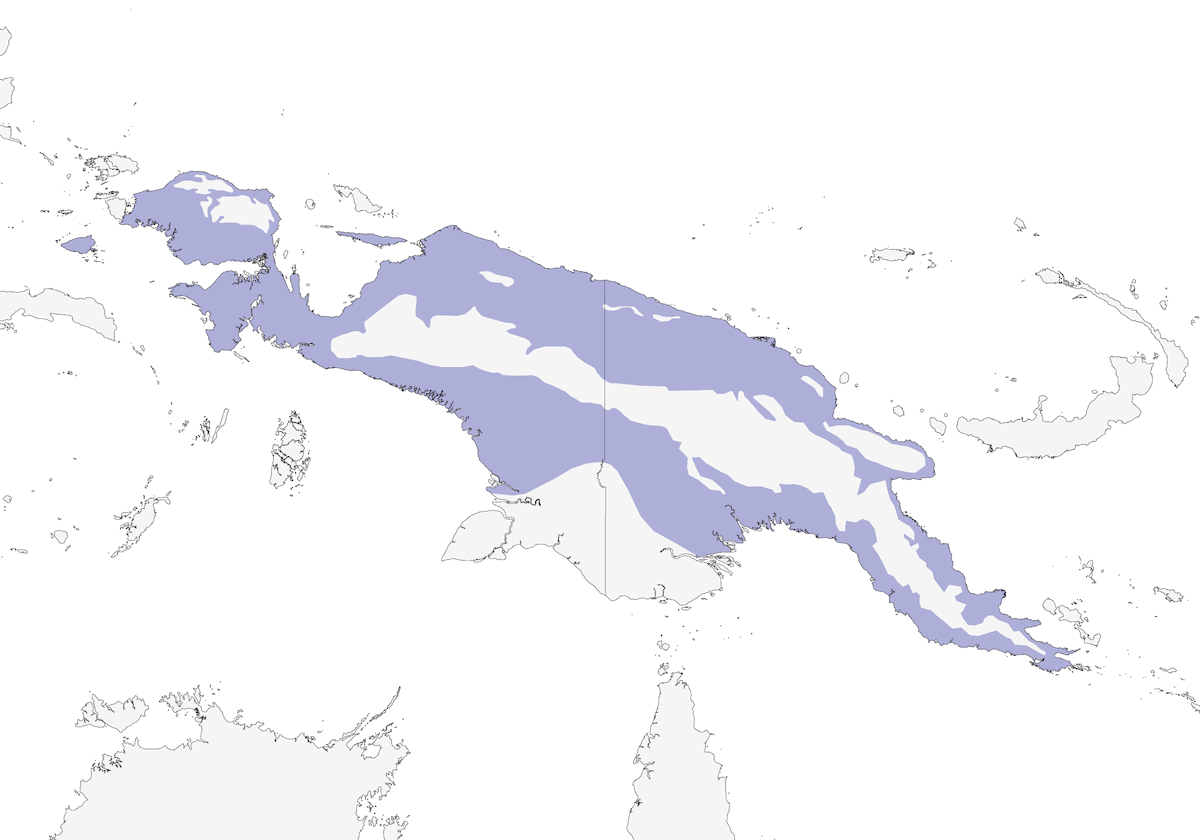 Rufous-backed Fantail, Distribution 1
