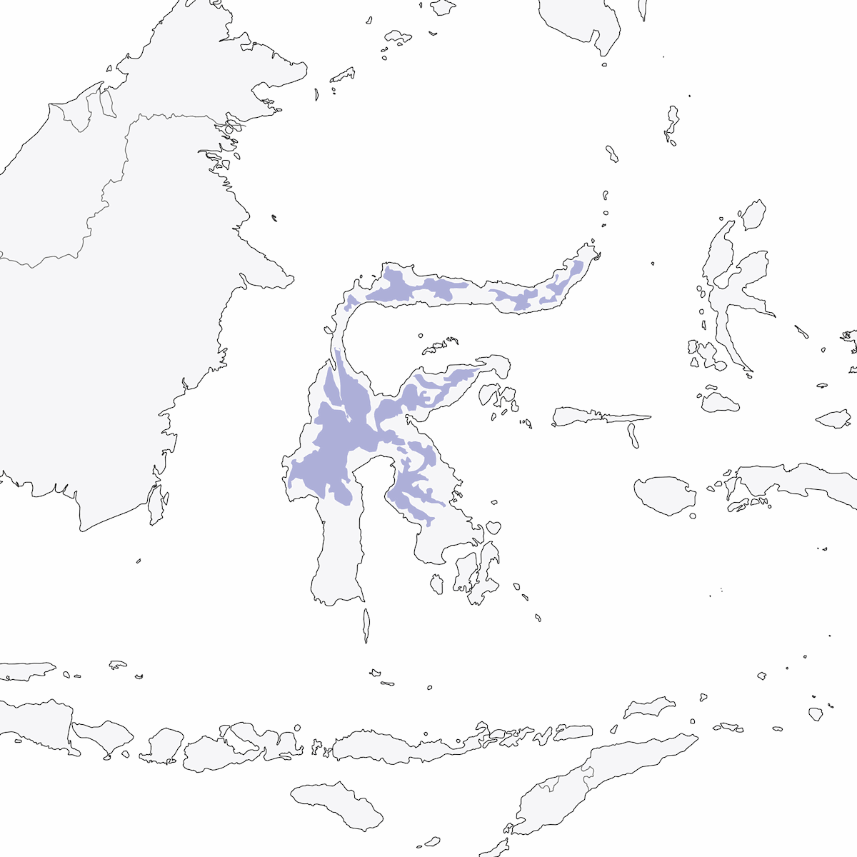 Sulawesi Fantail, Distribution 1