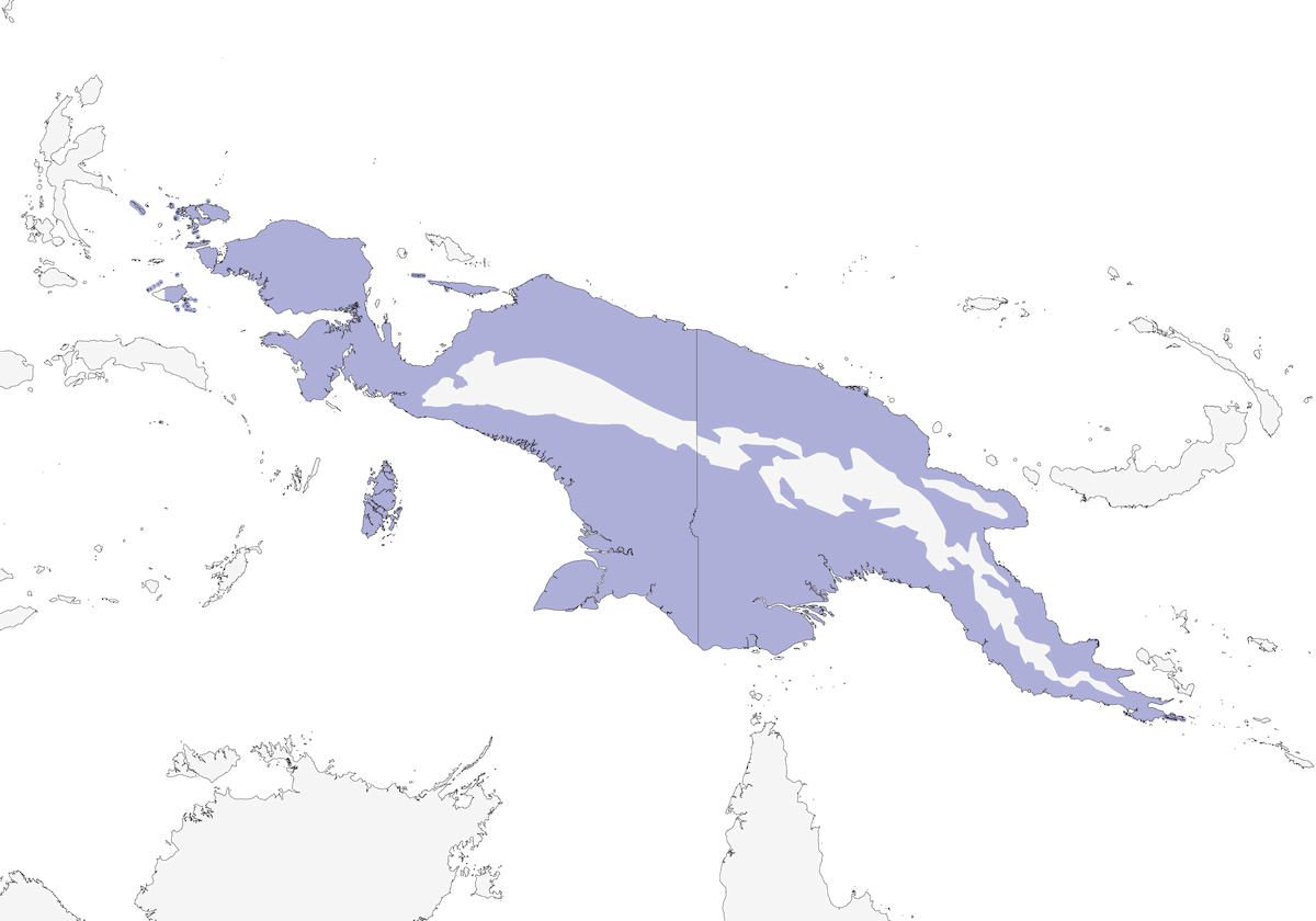 Kookaburra dal ventre rossiccio, Distribuzione 1