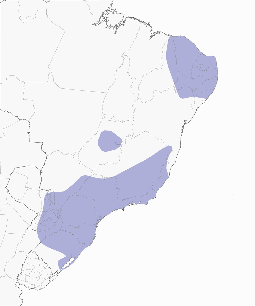Rufous-breasted Leaftosser, Distribution 1