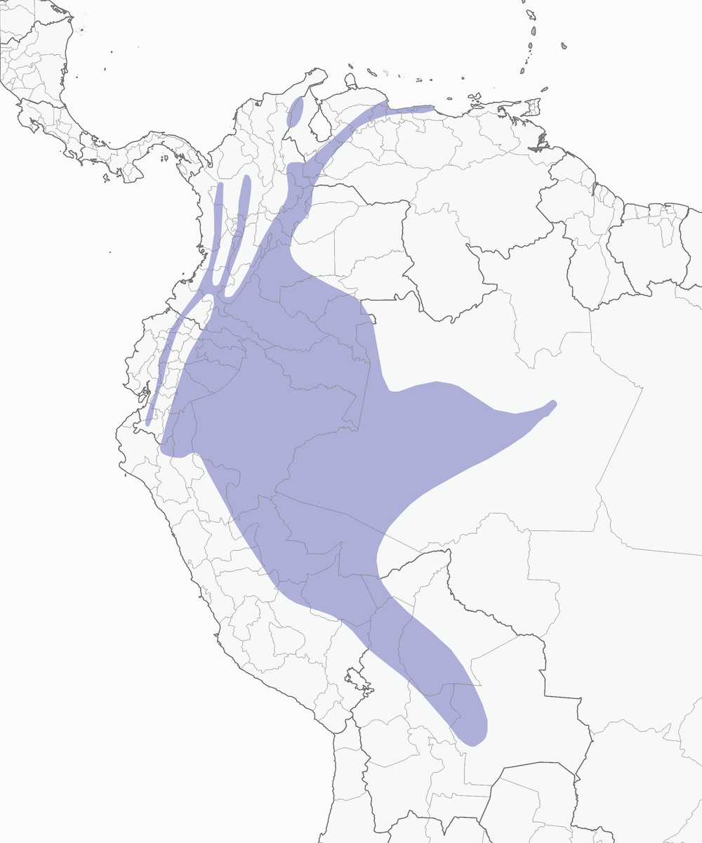 Oropéndola Dorsicastaña, Distribución 1