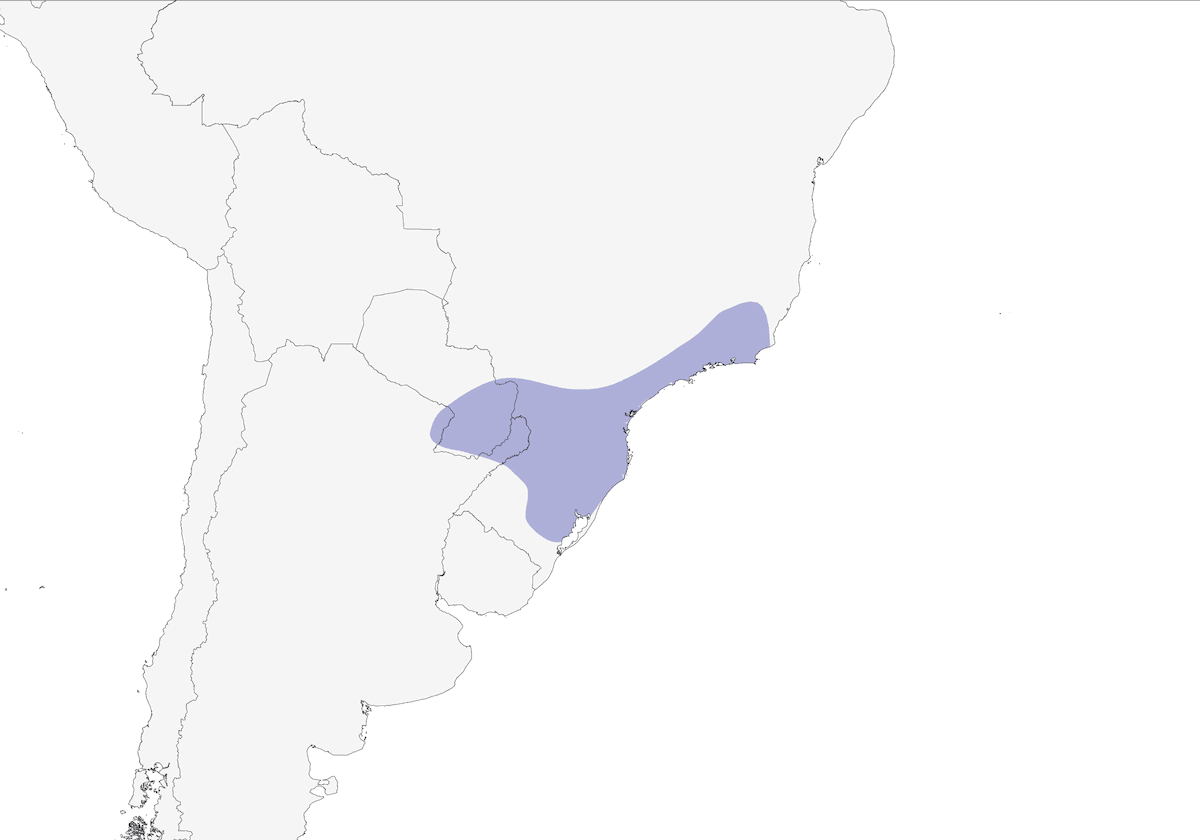 Búho barrado rojizo, Distribución 1