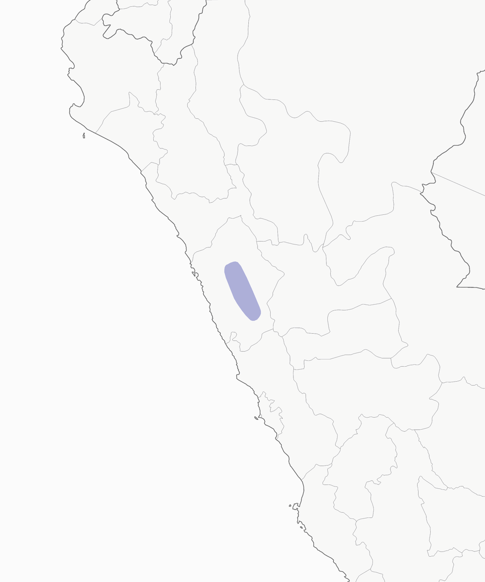 Colaespinas Vientrirrufo, Distribución 1