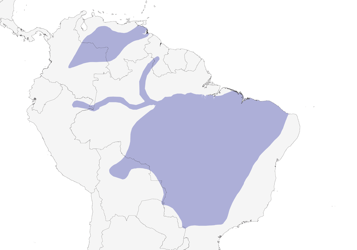 Rusty-backed Spinetail, Distribution 1