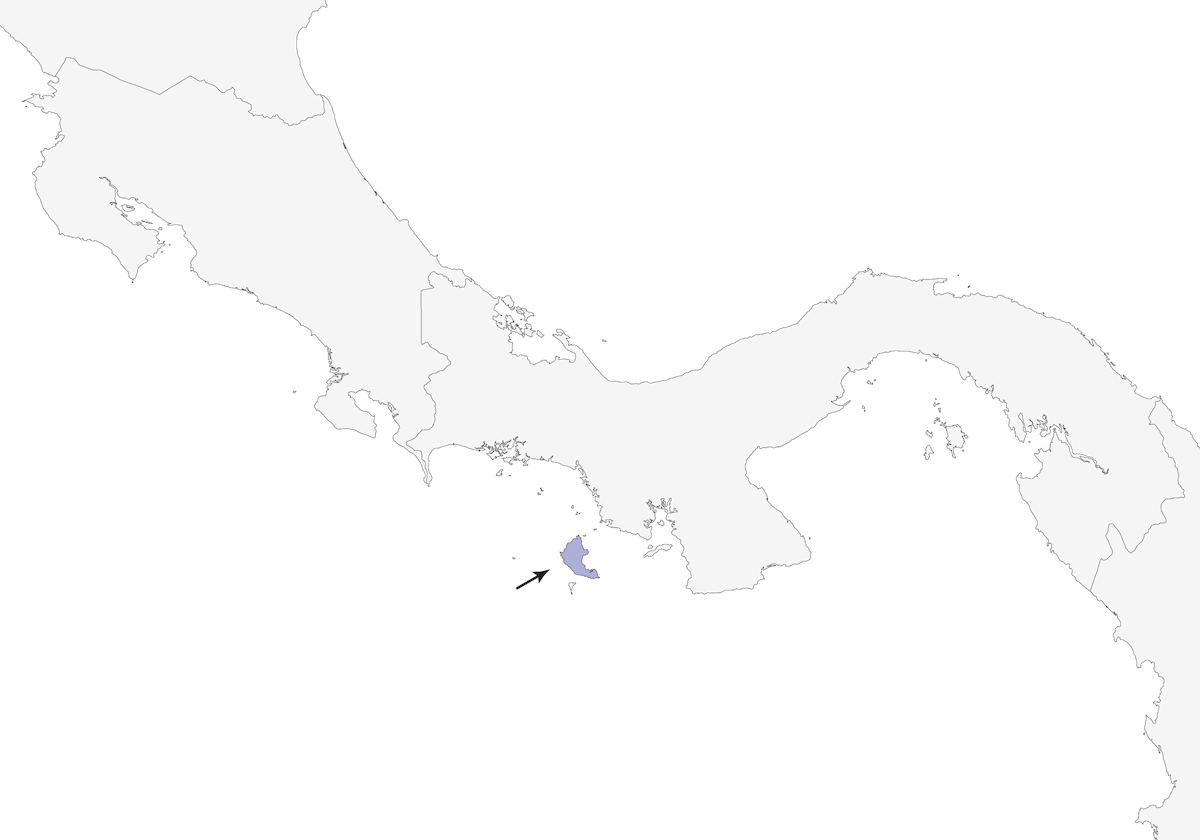 Colaespina de Coiba, Distribución 1