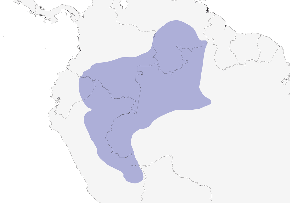 Rufous-backed Stipplethroat, Distribution 1