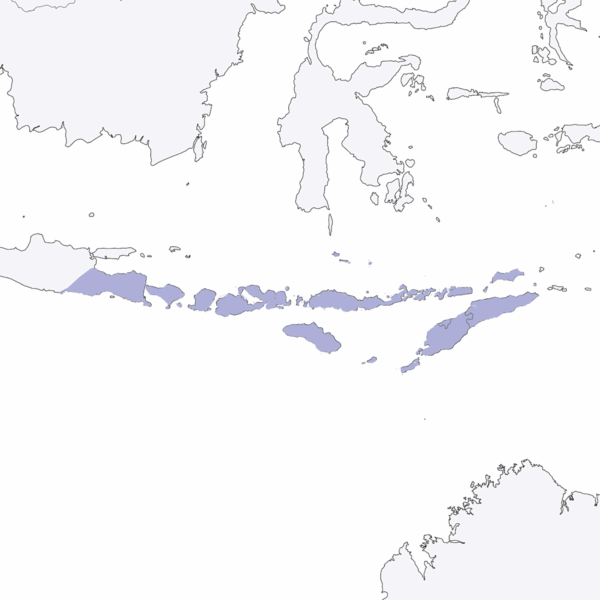 Silbador de Tenggara, Distribución 1