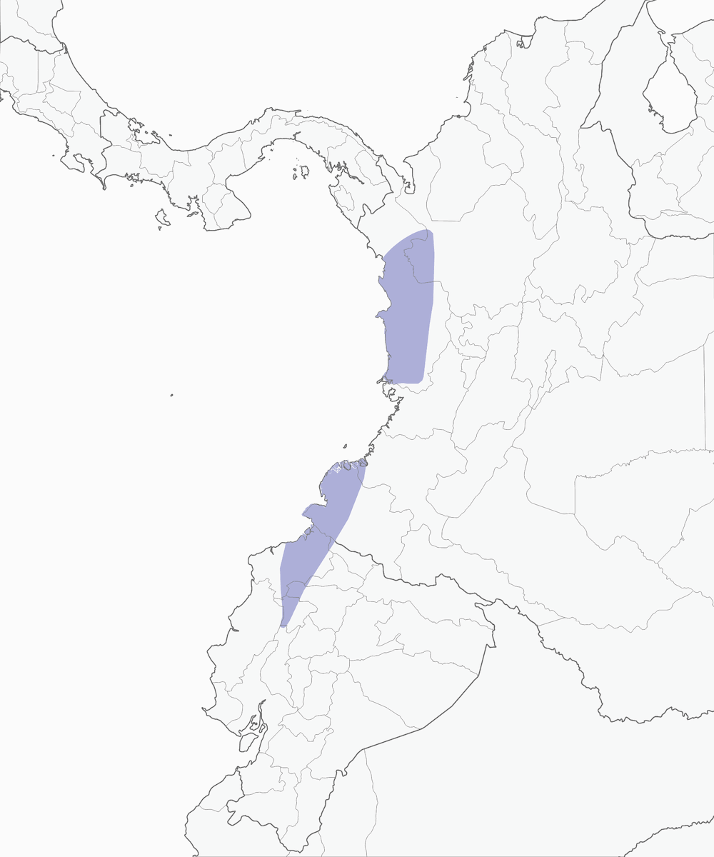 Tororoi Coronirrufo, Distribución 1