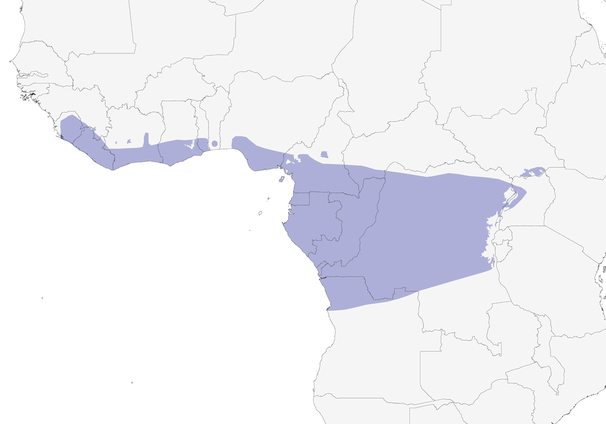 Rufous-crowned Eremomela, Distribution 1